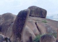 女人沟的几大 图：女性外阴形状几种,图 各种类型女性b图片