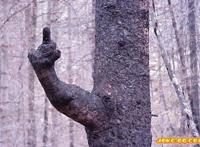 老人露玉赤兔图相:老人的生殖图 ,男性阴茎头图片大全 老人露玉赤兔图相:老人的生殖图 ,男性阴茎头图片大全