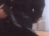 gif番号2016第八期公车：2016番号作品gif图