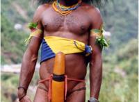 非洲男人的jj图片：男人JJ硬起的图片