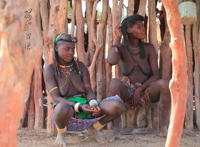 公务员女性生殖器图片:少女,生殖器图片 公务员女性生殖器图片:少女,生殖器图片