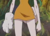 海贼王兔女加洛特h本子：海贼王兔女加洛特被草 海贼王毛皮族兔子h