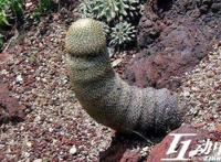 男生给我发晨勃的图片:真实的男生晨勃照片 男生给我发晨勃的图片:真实的男生晨勃照片