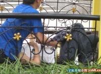 老头在公园吃奶摸B视频：东莞七彩公园野战视频