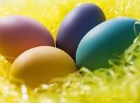 男人吃什么性功能强大:男人吃什么壮阳最快