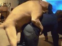 护士取精真图片欣赏：美国护士用肉体取精