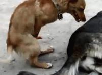 女人在外用肛塞的图片：av小视频(自慰) 戴着肛塞上班图