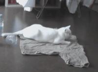 紫色巨硕红肿 含着巨硕书包网吸吮：白浊红肿含巨硕挣扎