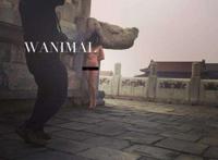 wanimal长城是哪一期：wanimal全套长城 wanimal长城全套迅雷