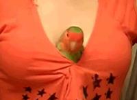 自慰器的方法(女孩子)g点高潮教学技巧图片：看过A片的女生会自慰