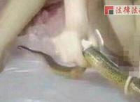 谁有黄鳝门资源完整版：黄鳝21分钟种子 黄鳝女主播自慰视频,