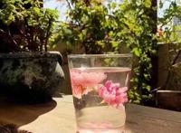 玫瑰花茶 对子宫好吗？女人为什么要喜欢玫瑰花茶