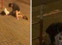 拍客男女公园野战图片：景区凉亭露天野战