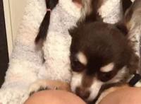 啊~~~摩托车高潮小说迷晕干警花姐姐 ：和同学在摩托车上干