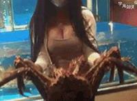 王小莲王山炳在家里 大学女生宿舍203杨国强：女生宿舍 丁露