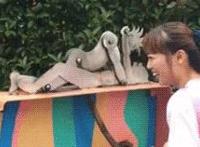 乖妈妈的小骚Bī(下)：放荡的教师妈妈赵红 小西的美母教师1 37章