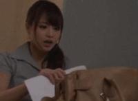 倪楠和小雨后续1一丨7：倪南倪珠小雨全集目录 倪楠和小雨后续