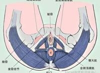 女人要了解自己的身体,你知道盆底肌的三大作用吗