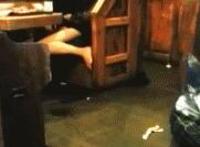 老师的丝袜色情指导：语文老师丝袜裙子 我舔了语文老师的丝袜