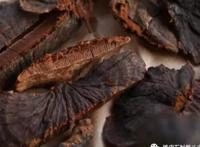 女人每天吃灵芝有什么好处