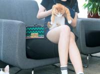 我看到杨幂的腿就硬了