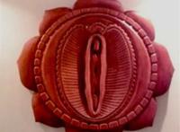 什么叫做肉莲 是干什么的