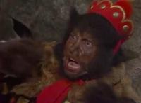 黑熊精日了观音 观音菩萨会善罢甘休吗？