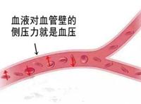 人的正常血压是多少 成年人的正常血压