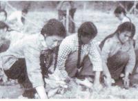 天津45中轮师门是真的吗 天津孟燕12人33次是什么意思