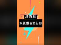 墨羽旅行团是什么梗？