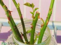 立春可以理发吗？立春可以洗头吗？