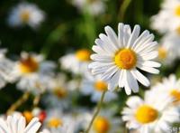 发现妻子出轨怎么办 妻子出轨要离婚丈夫聪明做法