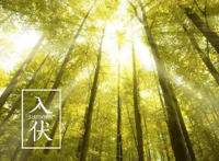 入伏是哪一天开始2022 入伏的意思与由来