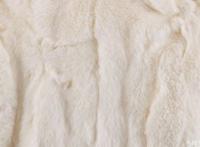 獭兔毛皮草好吗 獭兔毛皮草怎么保养