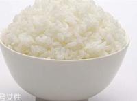 米饭热量高吗 米饭的热量