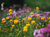 夏至应该吃什么 夏至节气吃什么对身体好