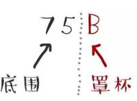胸型有哪几种图解 对应内衣怎么选择