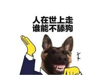 舔狗是什么心理 舔狗是骂人的话吗