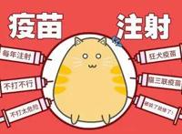 被猫咬千万不要打狂犬疫苗，感染狂犬病几率比较低
