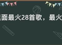 抖音里面最火28首歌，最火抖音神曲28首