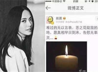 恶之花姚晨是什么意思（梗） 姚晨为什么被叫恶之花