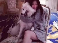乔欣家里到底干什么的 （乔欣家到底多有钱揭秘）