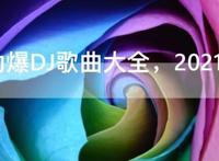 2021劲爆DJ歌曲大全，2021年最火的dj排行榜前十名