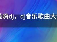 2022最嗨dj，dj音乐歌曲大全dj歌曲2022