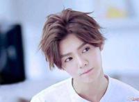 鹿晗为什么退出exo，鹿晗为什么退队的原因