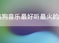 2021酷狗音乐最好听最火的歌曲，2021酷狗音乐排行榜