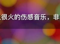 网络上很火的伤感音乐，非常催泪的伤感歌曲