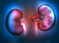 肾结石疼痛时怎么办?推荐这四个方法可有效缓解肾结石疼痛