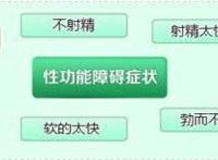 性功能障碍的主要原因