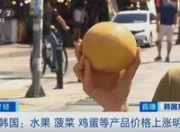 韩国一个梨涨至20多元